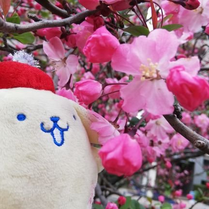 はっちさんのプロフィール画像