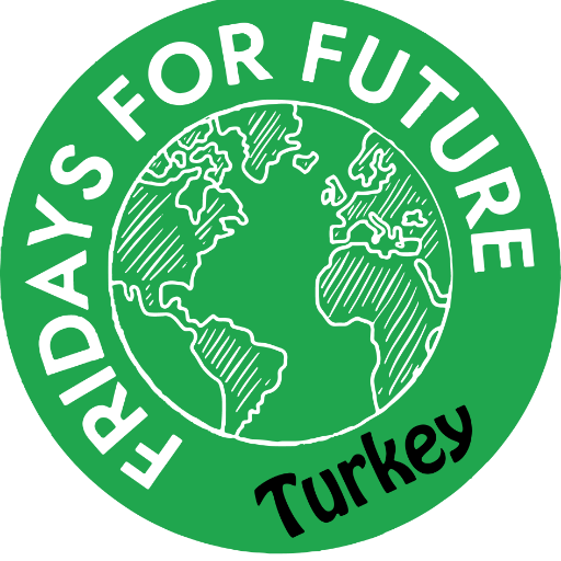 Fridays For Future Turkey