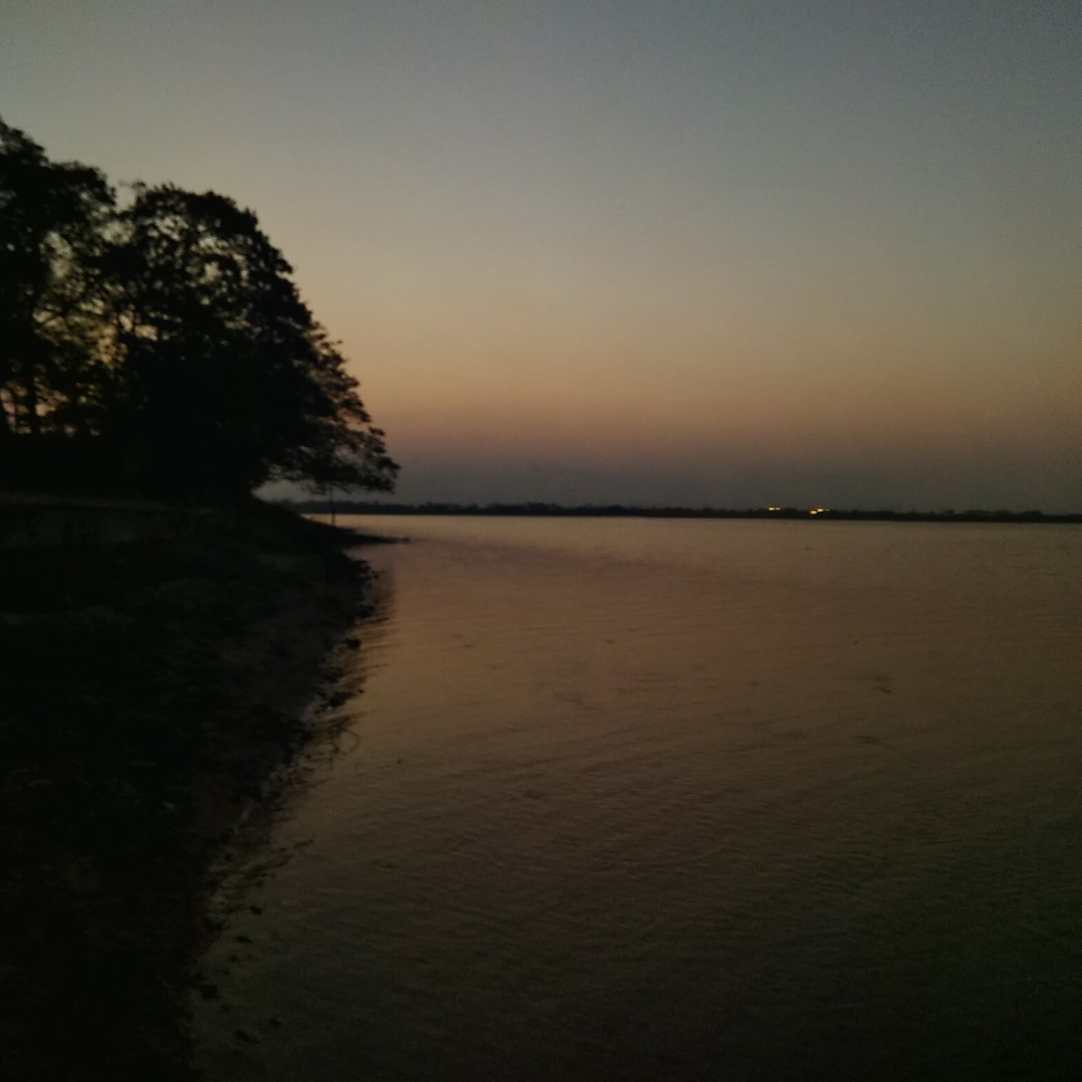 VidhyaBalachan2's profile picture. 