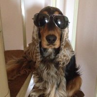 Saverio 75🇮🇹🌍🇪🇺 (@savsaverio_sav) 's Twitter Profile