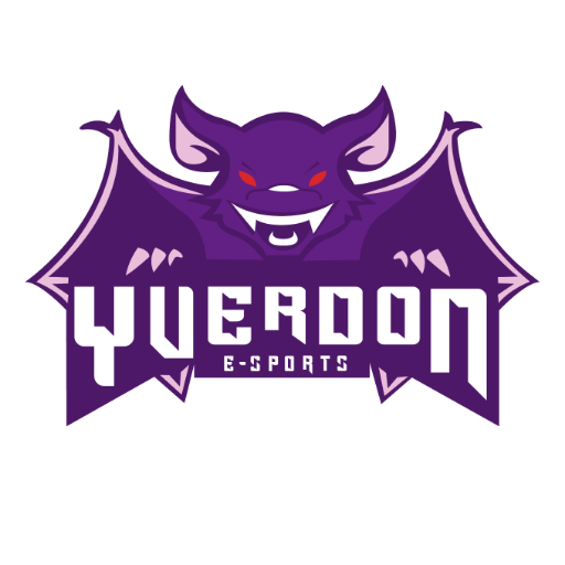 Account of the swiss esports structure