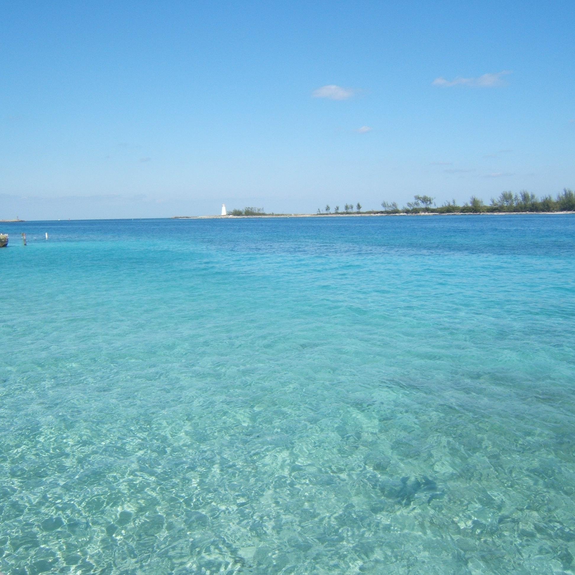 Ca22ro2's profile picture. Florida patriot for Trump