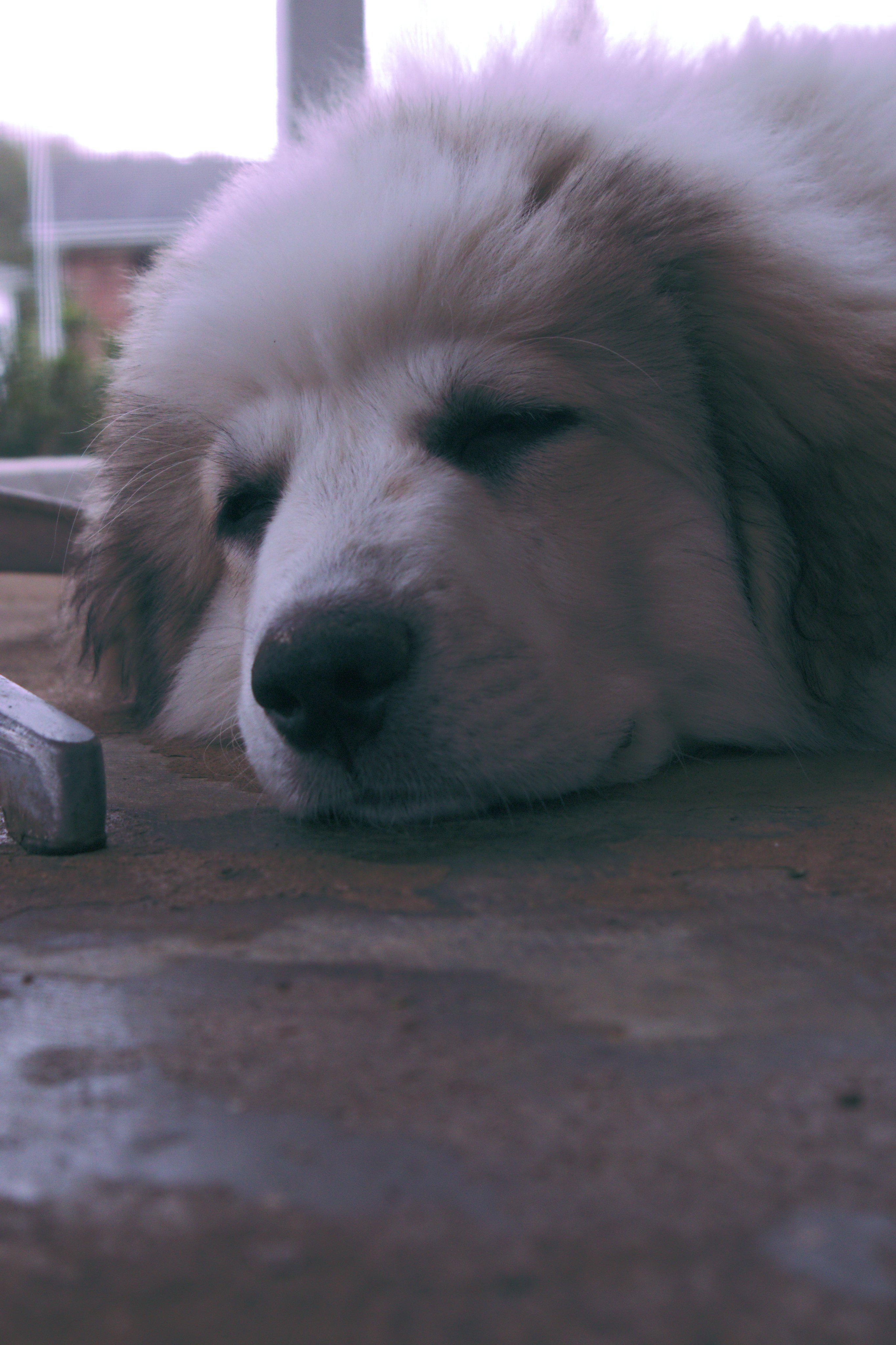 Stan_Frankfield's profile picture. just some guy with options