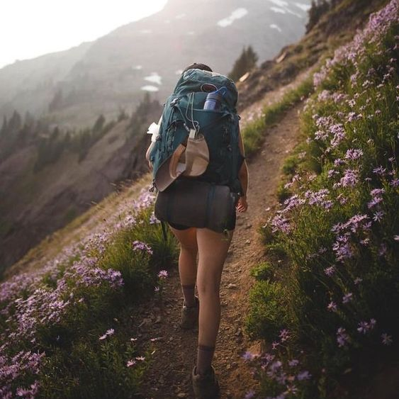 WonderHiking's profile picture. Hiking
❤️ ❤️ If you are a proud #hiking lover🎁🌠 Check there are some photo and video for you😍😍 and have some gift 🎁🌠