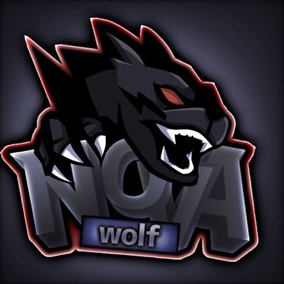 TeamNovaWolf's profile picture. Fortnite Clan Nova Wolf [N.Wolf] 設立日2019/01/15 スポンサー契約、大会等のご連絡はDMまで 現在勧誘のみ #NovaWolf実績