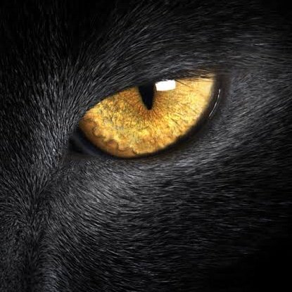 mehmet072097's profile picture. 