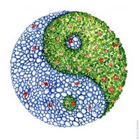bipolargruppen (@bipolargruppen) 's Twitter Profile Photo bipolargruppen (@bipolargruppen) 's Twitter Profile Photo