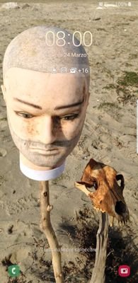 Picaccio1's profile picture. 🤔 moh ce penso...