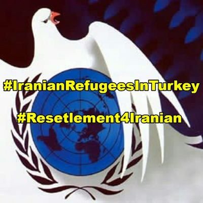 Setare84707683's profile picture. 