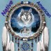 Native American Association (@naamainoffice) Twitter profile photo
