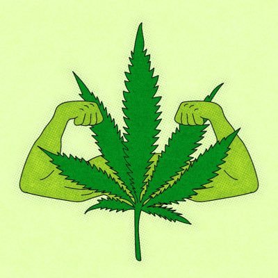 cbd122336's profile picture. Goal of informing people of the numerous health benefits that CBD offers that make it a great alternative to traditional medicines.