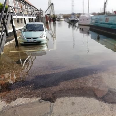 stiffsterman's profile picture. Books Music Humour Politics & Nature stuff