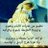 Feather_painter's profile image