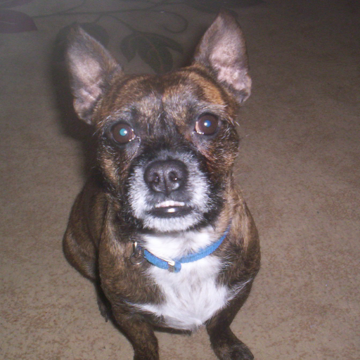 scorpion1169's profile picture. 