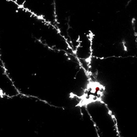 Contet Lab (@contetlab) 's Twitter Profile