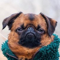 Riemann Summs (@booled2cooled) 's Twitter Profile