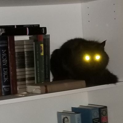 Lindsey_Reads_'s profile picture. 