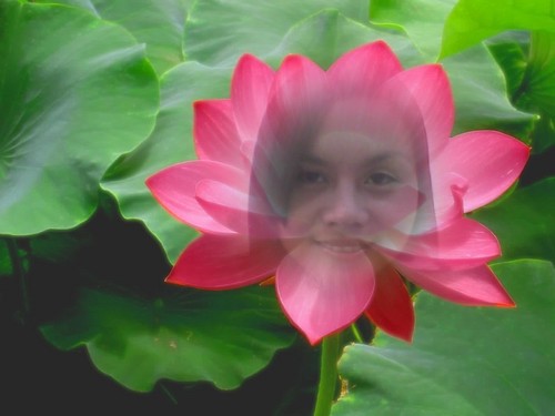 simply_chalene's profile picture. 