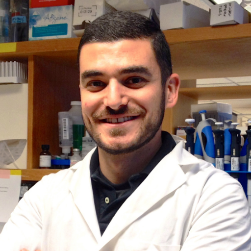 We study genetic drivers, cancer metabolism, and therapeutics for cancer stem cells/brain tumors/#glioblastoma
@HarvardMed | @MGHNeurology | @MGH_RI
🇱🇧🇺🇸