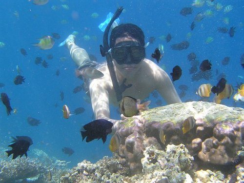 Riki_Novialdi's profile picture. 