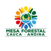 Mesa Forestal Cauca - Andina(@CaucaMesaforest) 's Twitter Profileg