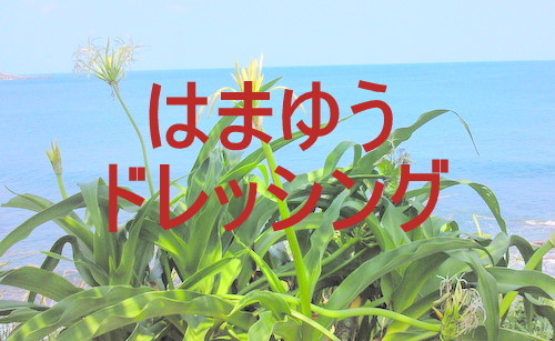 添加物を使用せず体に優しくとっても美味しい「和風手造りドレッシング　はまゆう」を製造・販売しております。
お得な情報もアップします。