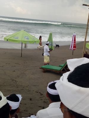 Balipropertyag2's profile picture. Bali Property Agent Expert