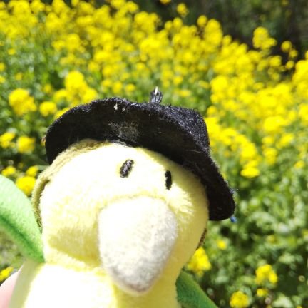 みゃあこ♪★② 取引垢さんのプロフィール画像