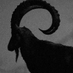Vicar Of Satan (@vicarofsatan) Twitter profile photo Vicar Of Satan (@vicarofsatan) Twitter profile photo