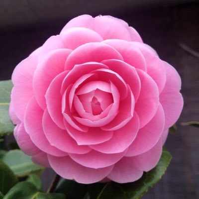 榎さんのプロフィール画像