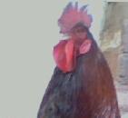 takarmar1's profile picture. 