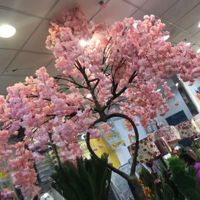 vbb83349856's profile picture. 