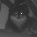 YAFO (@yafonet) Twitter profile photo YAFO (@yafonet) Twitter profile photo