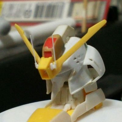 dai Profile