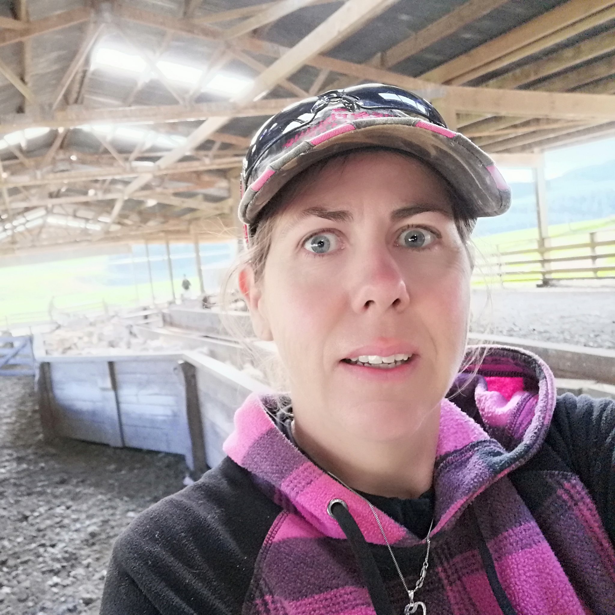 everydayfarmer's profile picture. Working with nature for sustainable food production. All thoughts and tweets are my own.