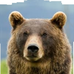 bdholmes's profile picture. Brimming with shameless self-promotion, advertising for my own material gain, and libellous, unfounded slander.