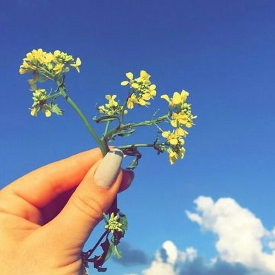 ‏‏- نگبر وننسة ..💔