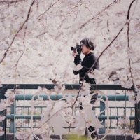 大明神 (@yakisobagoooon) 's Twitter Profile Photo 大明神 (@yakisobagoooon) 's Twitter Profile Photo