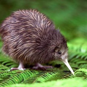 12iinchooo2003's profile picture. 音響系組み込み開発エンジニア /C/C++/C#/FreeRTOS/μITRON/linux/USB/filesystem/SDIO/WLAN/Ethernet/barista