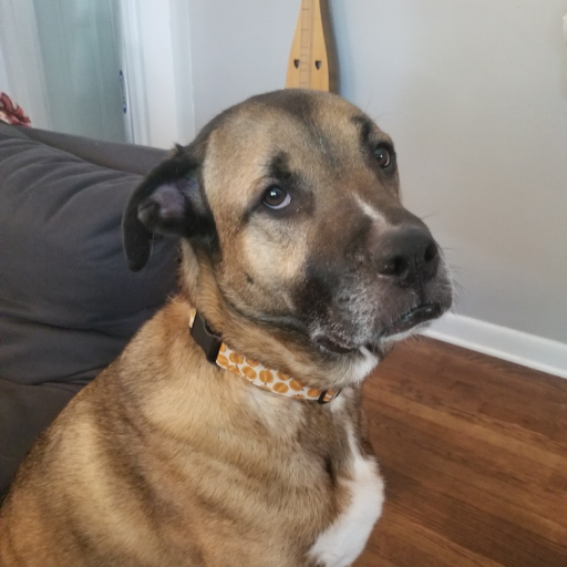 lilloquacious's profile picture. Enter text here.