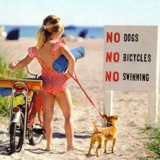 【My favorite】ZX10 、エストレヤ、植物を育てる、guitar、billiard、Levi's、Village Vanguard 【picture】 No dog No bicycle No swim!But we must enjoy this world!!