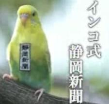 インコ式静岡新聞 Sbs Parakeet Twitter インコ式静岡新聞 Sbs Parakeet Twitter