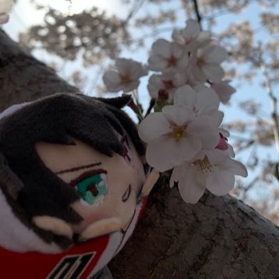 20↑成人済み よるです。mdzs/cql  ヒプマイ 刀らぶ キンプリ うたプリ 黒執事 ツイステ 東リベ Free!が好き💖