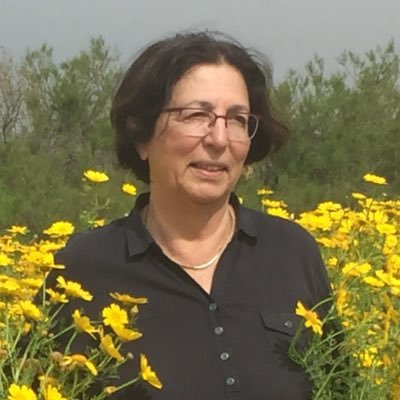 batzeev's profile picture. ״סבתא, מה זה שמאלנים? ״ ״אלה שמאמינים בשוויון זכיות ומעדיפים שלום על מלחמה״. ״אז הם ממש לא רעים!״ ובזמני הפנוי משתעשעת בDeep Learning