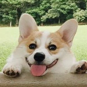 arrondondon's profile picture. 