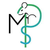 MolecularPsychosomatics Ulm (@molpsysoulm) 's Twitter Profile