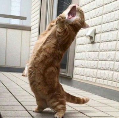 GIO797979's profile picture. 