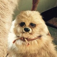 Ryoma Nagata (@ryomaru0825) 's Twitter Profile Photo