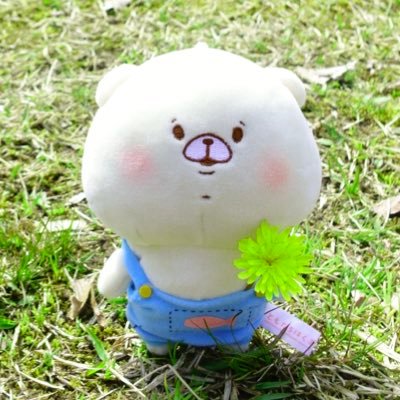 熊五郎さんのプロフィール画像