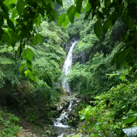 フランク (@ftk2221) Twitter profile photo